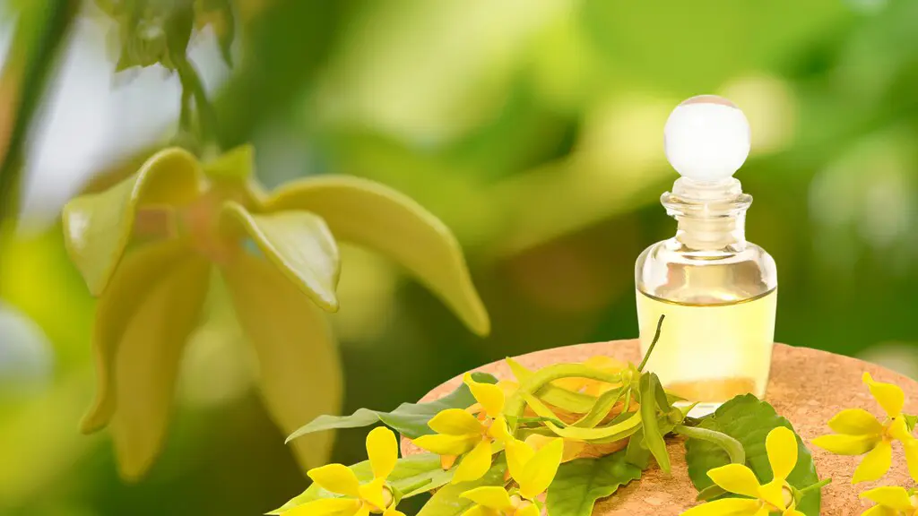 Male Massage used with Ylang Ylang Oil