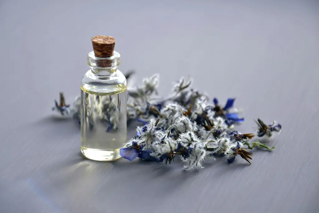 Lavender Oil used in Male Massage